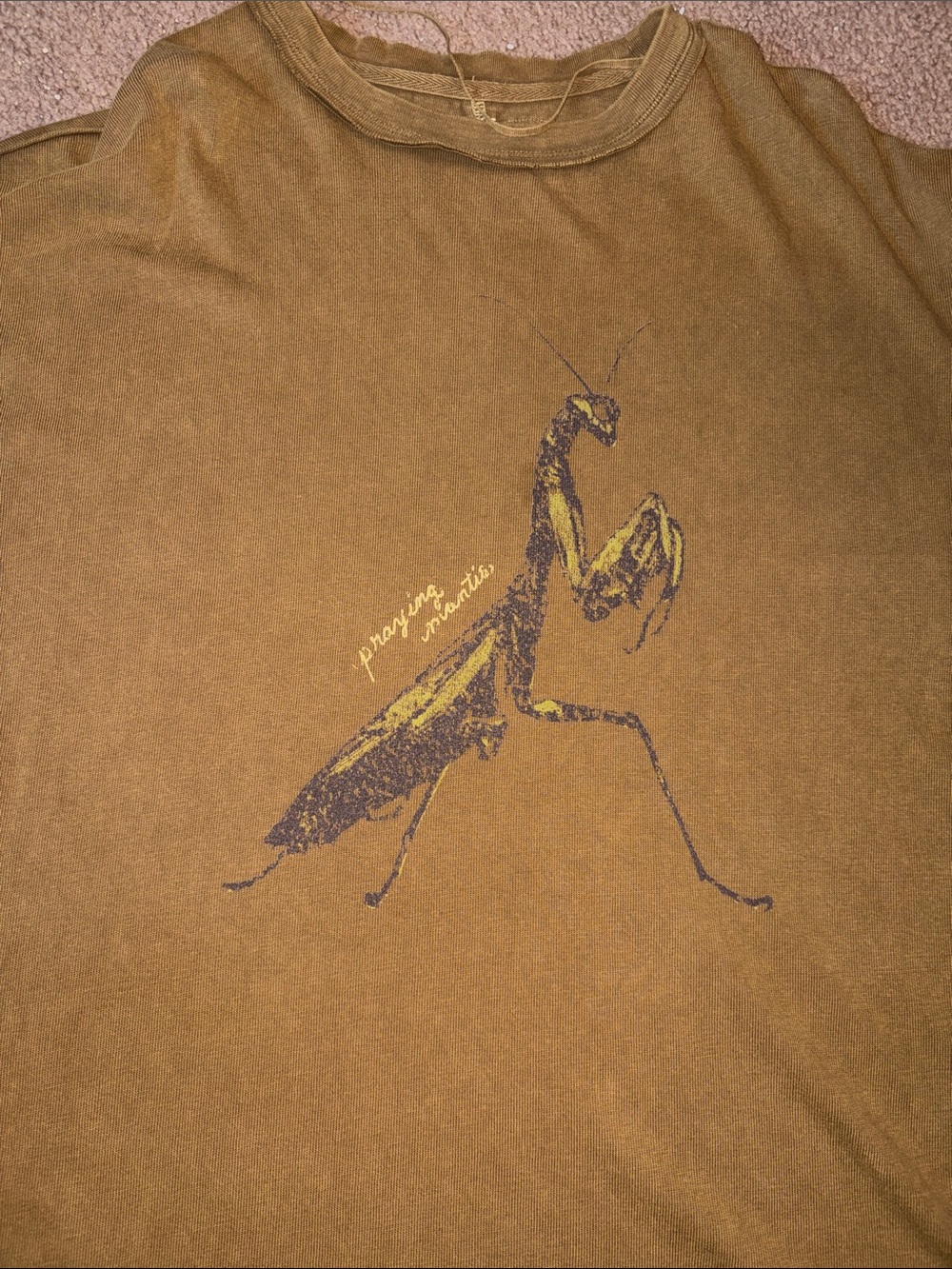 We the Free Free People Farm Foes Praying Mantis Graphic